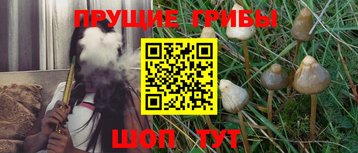 Метамфетамин  Меф   Конопля  LSD-25  НБОМе  Гашиш  Вход с VPN  ЭКСТАЗИ  Отрадный  Купить наркоту 
