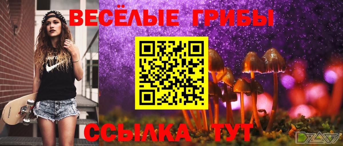 Отрадный  Галлюциногенные грибы мухоморы  Галлюциногенные грибы Psilocybine cubensis  Вход с VPN 